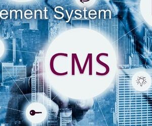 Content Management Systems